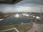 Archived image Webcam Marina Rheinhof Altenrhein at Lake Constance 13:00