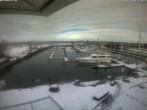 Archived image Webcam Marina Rheinhof Altenrhein at Lake Constance 11:00