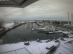 Archived image Webcam Marina Rheinhof Altenrhein at Lake Constance 13:00