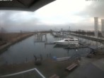 Archiv Foto Webcam Bodensee: Hafen Rheinhof 07:00