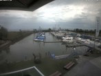 Archiv Foto Webcam Bodensee: Hafen Rheinhof 11:00