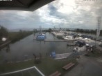 Archiv Foto Webcam Bodensee: Hafen Rheinhof 11:00