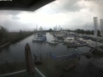 Archived image Webcam Marina Rheinhof Altenrhein at Lake Constance 09:00