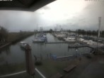 Archived image Webcam Marina Rheinhof Altenrhein at Lake Constance 11:00