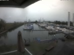 Archived image Webcam Marina Rheinhof Altenrhein at Lake Constance 13:00