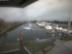 Archiv Foto Webcam Bodensee: Hafen Rheinhof 11:00