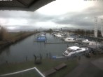 Archived image Webcam Marina Rheinhof Altenrhein at Lake Constance 11:00