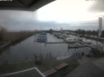 Archiv Foto Webcam Bodensee: Hafen Rheinhof 13:00