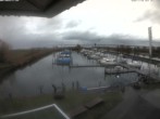 Archiv Foto Webcam Bodensee: Hafen Rheinhof 11:00