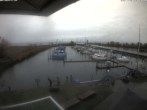 Archiv Foto Webcam Bodensee: Hafen Rheinhof 13:00