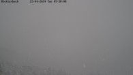 Archived image Webcam View of Canyon Bletterbach in South Tyrol 09:00