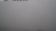 Archived image Webcam View of Canyon Bletterbach in South Tyrol 13:00