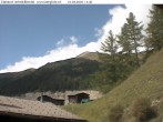 Archiv Foto Webcam Feld: Binntal − Imfeld 11:00