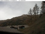 Archiv Foto Webcam Feld: Binntal − Imfeld 08:00
