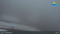 Archiv Foto Webcam Serfaus-Fiss-Ladis: Schöngampalm 20:00