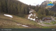 Archiv Foto Webcam Serfaus-Fiss-Ladis: Schöngampalm 08:00