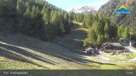 Archiv Foto Webcam Serfaus-Fiss-Ladis: Schöngampalm 10:00