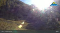 Archiv Foto Webcam Serfaus-Fiss-Ladis: Schöngampalm 16:00