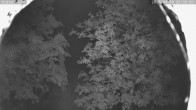 Archiv Foto Webcam Kaiseralm Breitenberg 21:00