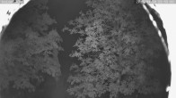 Archiv Foto Webcam Kaiseralm Breitenberg 23:00
