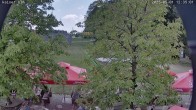 Archived image Breitenberg - Webcam at Kaiseralm 11:00