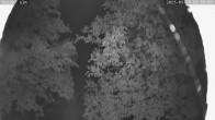 Archiv Foto Webcam Kaiseralm Breitenberg 23:00