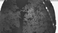 Archived image Breitenberg - Webcam at Kaiseralm 23:00