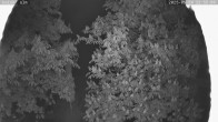 Archiv Foto Webcam Kaiseralm Breitenberg 23:00