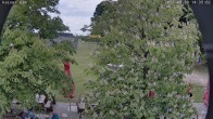 Archiv Foto Webcam Kaiseralm Breitenberg 13:00