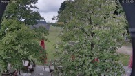 Archiv Foto Webcam Kaiseralm Breitenberg 11:00