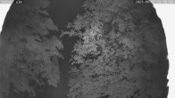 Archiv Foto Webcam Kaiseralm Breitenberg 23:00