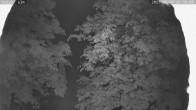 Archiv Foto Webcam Kaiseralm Breitenberg 21:00