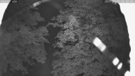 Archiv Foto Webcam Kaiseralm Breitenberg 23:00