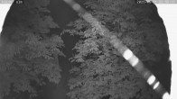 Archiv Foto Webcam Kaiseralm Breitenberg 23:00