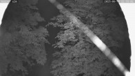 Archiv Foto Webcam Kaiseralm Breitenberg 23:00