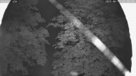 Archiv Foto Webcam Kaiseralm Breitenberg 23:00