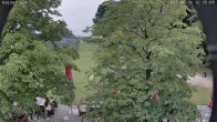 Archiv Foto Webcam Kaiseralm Breitenberg 11:00