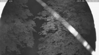 Archived image Breitenberg - Webcam at Kaiseralm 23:00