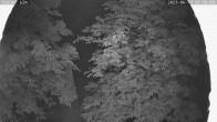 Archiv Foto Webcam Kaiseralm Breitenberg 23:00