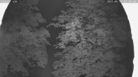 Archiv Foto Webcam Kaiseralm Breitenberg 23:00