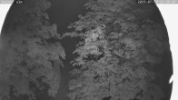 Archiv Foto Webcam Kaiseralm Breitenberg 23:00