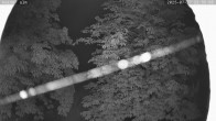 Archiv Foto Webcam Kaiseralm Breitenberg 23:00