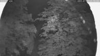 Archiv Foto Webcam Kaiseralm Breitenberg 23:00