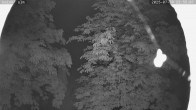 Archiv Foto Webcam Kaiseralm Breitenberg 23:00