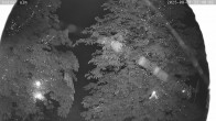 Archiv Foto Webcam Kaiseralm Breitenberg 21:00