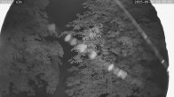 Archiv Foto Webcam Kaiseralm Breitenberg 23:00