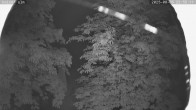 Archiv Foto Webcam Kaiseralm Breitenberg 23:00