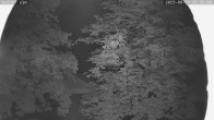 Archiv Foto Webcam Kaiseralm Breitenberg 23:00
