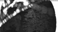 Archiv Foto Webcam Kaiseralm Breitenberg 23:00