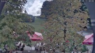 Archiv Foto Webcam Kaiseralm Breitenberg 08:00